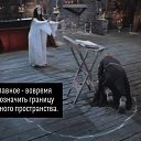 ���� ������, ���������, 57 ��� - ��������� 6 ������� 2022 � ������ ���� ����������