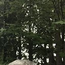 ���� Giorgi, �������, 45 ��� - ��������� 5 ������ 2023