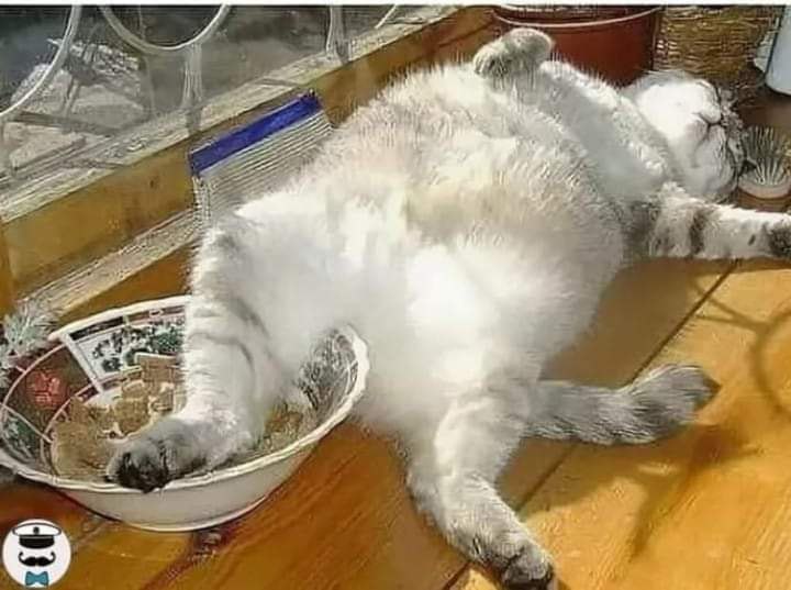 :)  . ,        ... , , ...