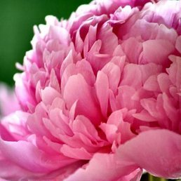 ���� �����, �����-���������, 49 ��� - ��������� 27 ������ 2023