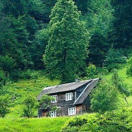 ���������, ��������, 39 ���