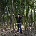 ���� ������, ������ - ��������� 3 ��� 2022 � ������ ���� ����������