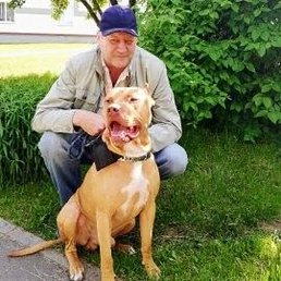 ����, �����, 52 ����