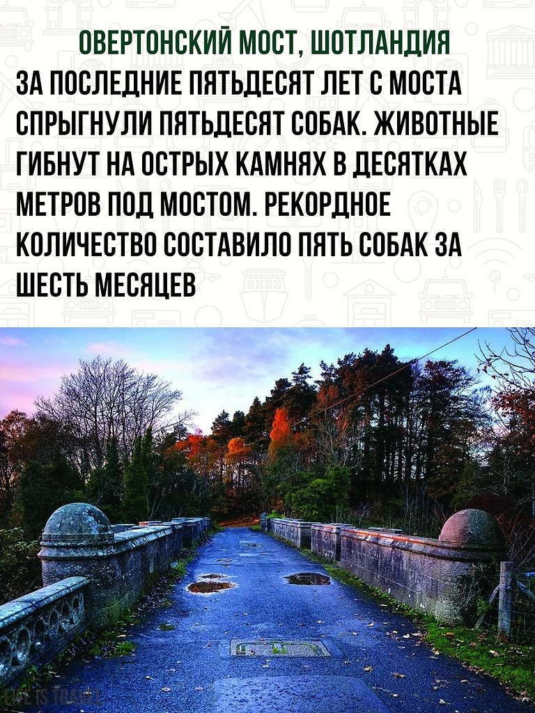 ,       - 3