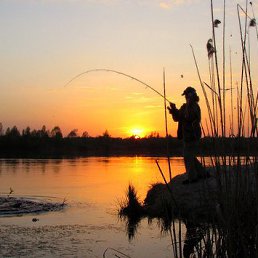 ���� ����, ������, 62 ���� - ��������� 28 ����� 2022