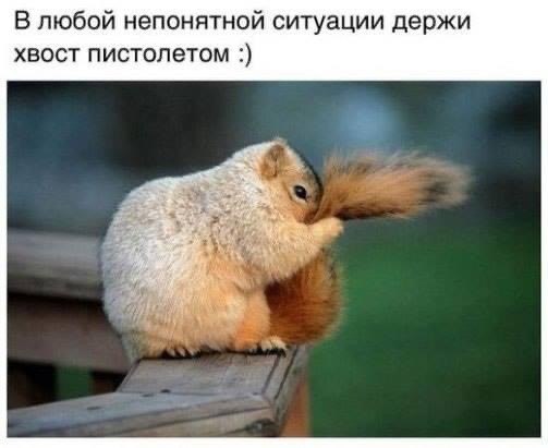 УЛЫБАЙТЕСЬ... ВАМ ЭТО ИДЕТ! «Немного «УМНЫХ» советов...» Если ваше счастье не в деньгах, шлите их ...