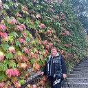 ���� ��������, ����, 60 ��� - ��������� 9 ������ 2022 � ������ ���� ����������