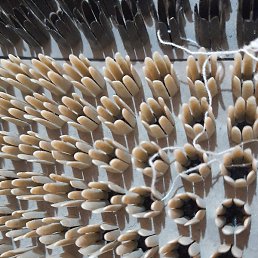 ������, ��������, 60 ���