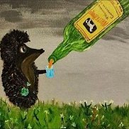 ����, 57 ���, �����