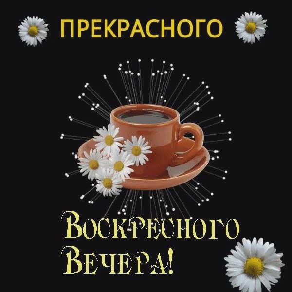   ,    . - 13  2022  18:36 - 4