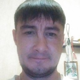 �����, ������, 37 ���