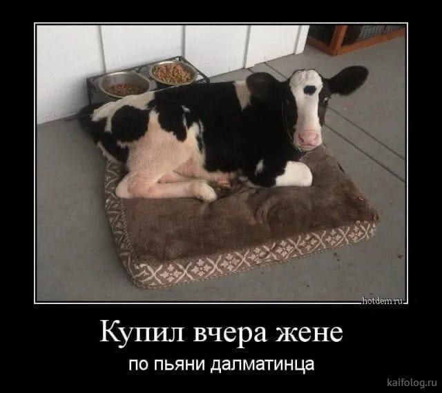   - 19  2022  10:20