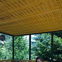 ���� ����, �����, 47 ��� - ��������� 16 ������� 2022 � ������ ���� ����������