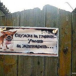 ������, ������, 52 ����