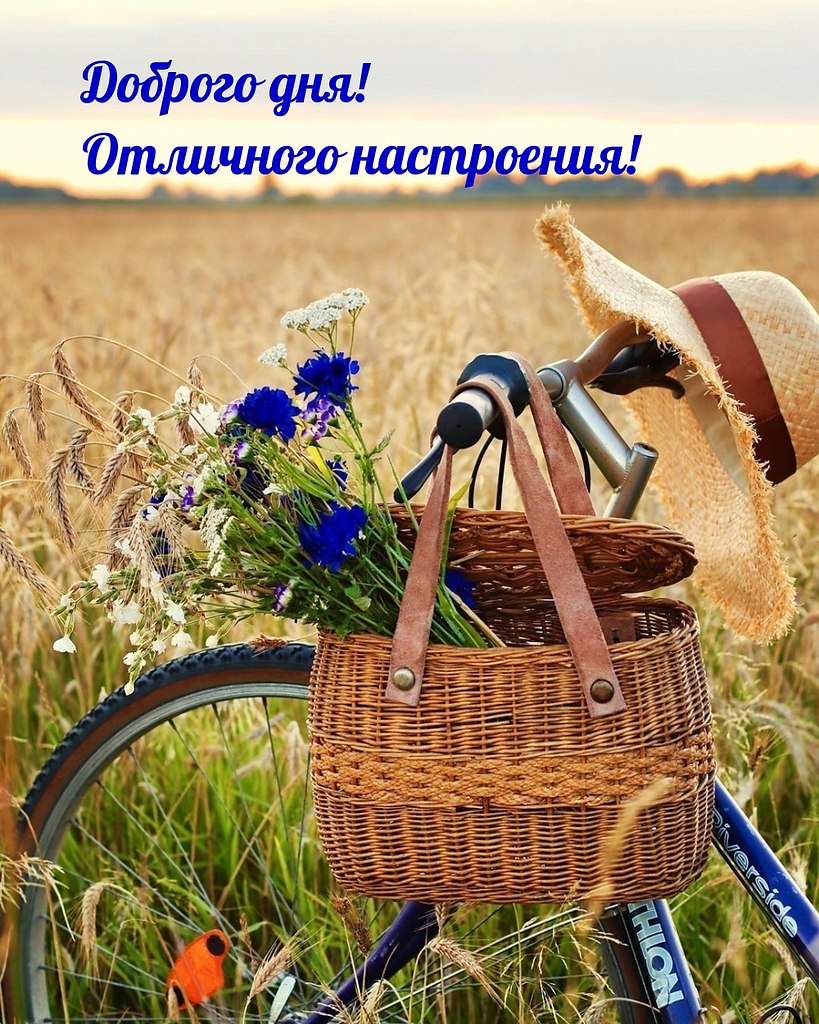   ,    . - 3  2022  10:53 - 2
