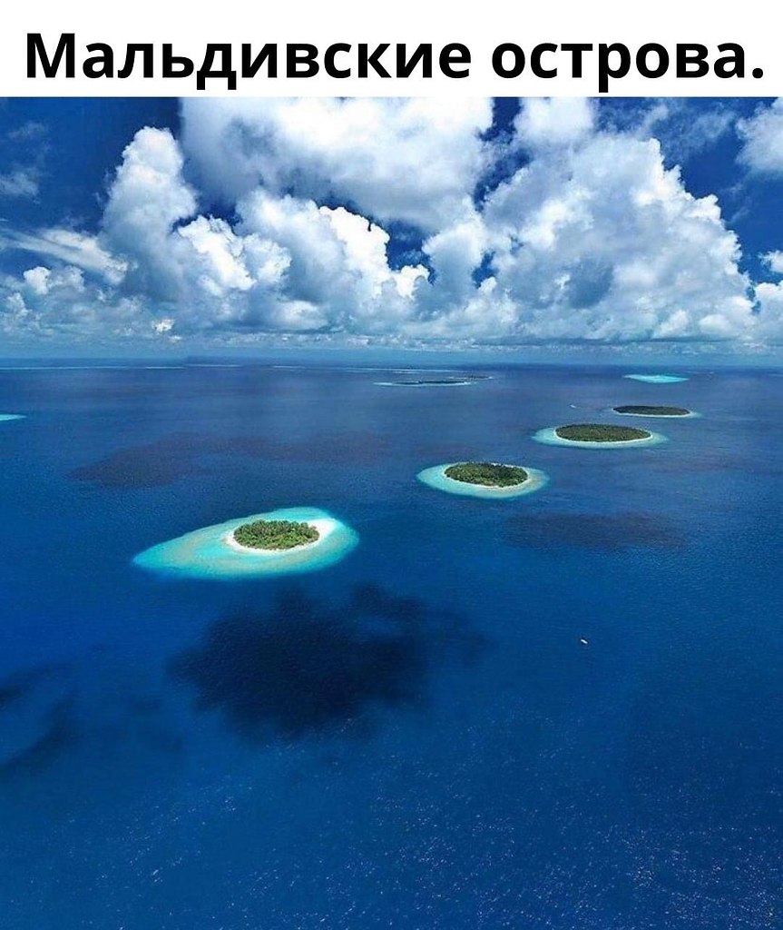     ,      .