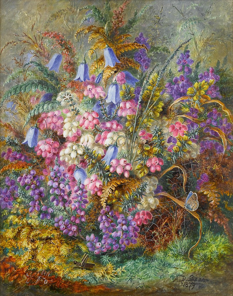 Albert Durer Lucas (18281919) - 3