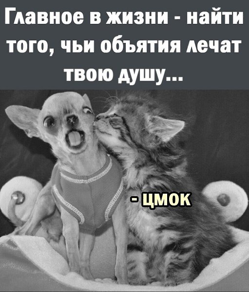 ***Victoria Viktorovna*** - 8 ����� 2022 � 04:31