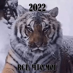 , , 40 