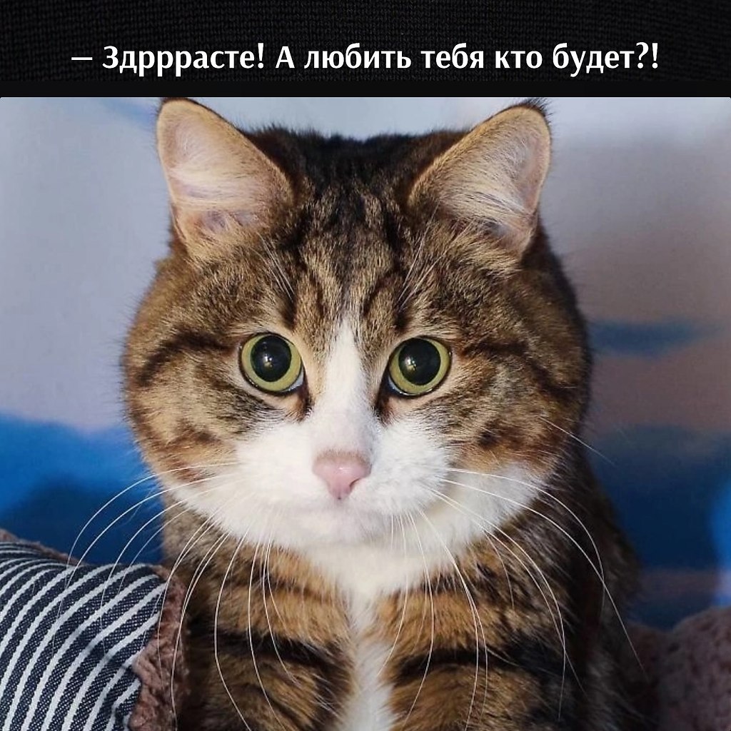       - 1  2023  11:24 - 4