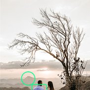 ������, 53 ����, �����������