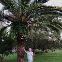 ���� ���������, ��������, 70 ��� - ��������� 30 ������ 2022