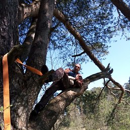 ������, �������, 43 ����