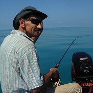, 61 , 
