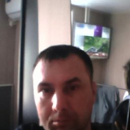 ���� �����, ������, 54 ���� - ��������� 13 ������� 2023