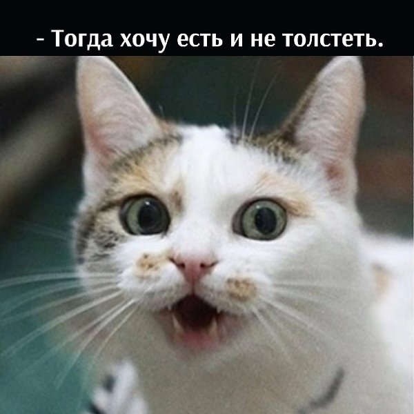       - 13  2022  13:41 - 3