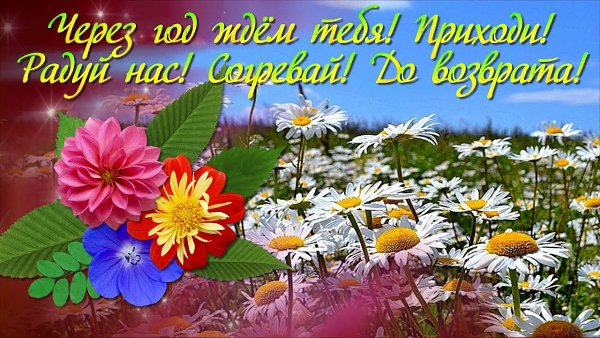 Прощай, июль. Всё было мило, вкусно. Спасибо за тепло и за дожди. А завтра август, и немножко ...