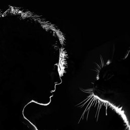 ���� O_mela, ������ - ��������� 31 ����� 2022