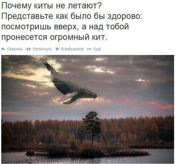    - 18  2022  00:48