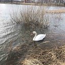 ���� ����, ����������, 51 ��� - ��������� 19 ������ 2022