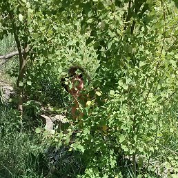 ���� �������, ���������, 75 ��� - ��������� 1 ������ 2023