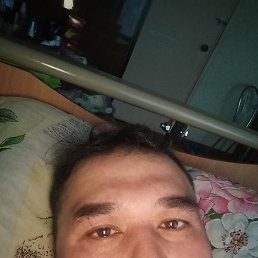 �����, ������, 41 ���