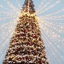 ���� �������, �������, 63 ���� - ��������� 21 ������� 2022 � ������ ���� ����������