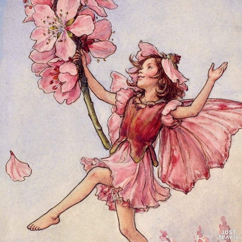 o officialflowrfairis.#art #travel #world - 10