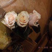 , 57 , 