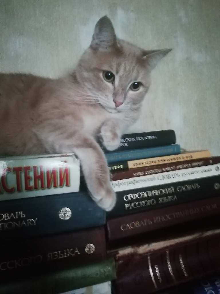    ?   ? Ѹ.  .