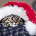 ���� Moonlight, ��������� - ��������� 21 ������� 2022 � ������ ������ ��������