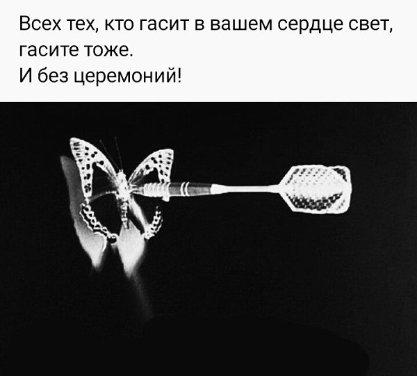 ***Victoria Viktorovna*** - 21  2022  15:38
