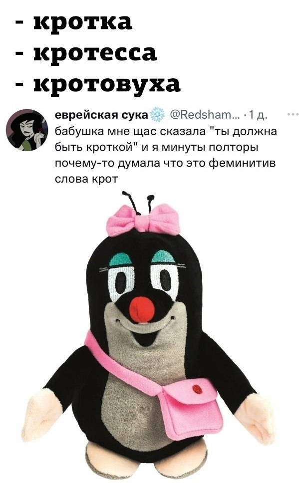 JPG - 29  2022  15:08