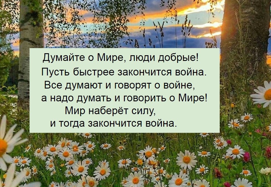 -,  !      ,           ...