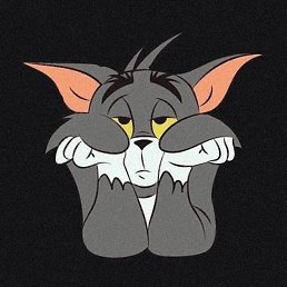 �����, ���������, 26 ���