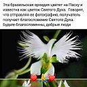 ���� ###�������*****, ������������� - ��������� 24 ������ 2022 � ������ ������
