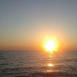 ��������, �����������, 43 ����