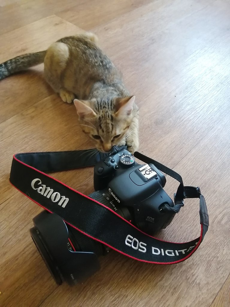    ?)))