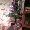 ���� ������, �����-���������, 41 ��� - ��������� 17 ������� 2023