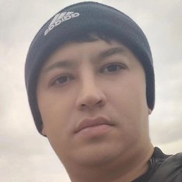 ������, ������, 41 ���